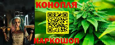 МДПВ Новозыбков