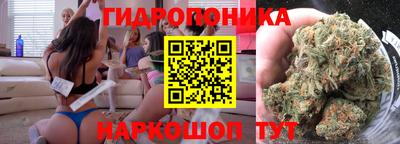 МДПВ Новозыбков