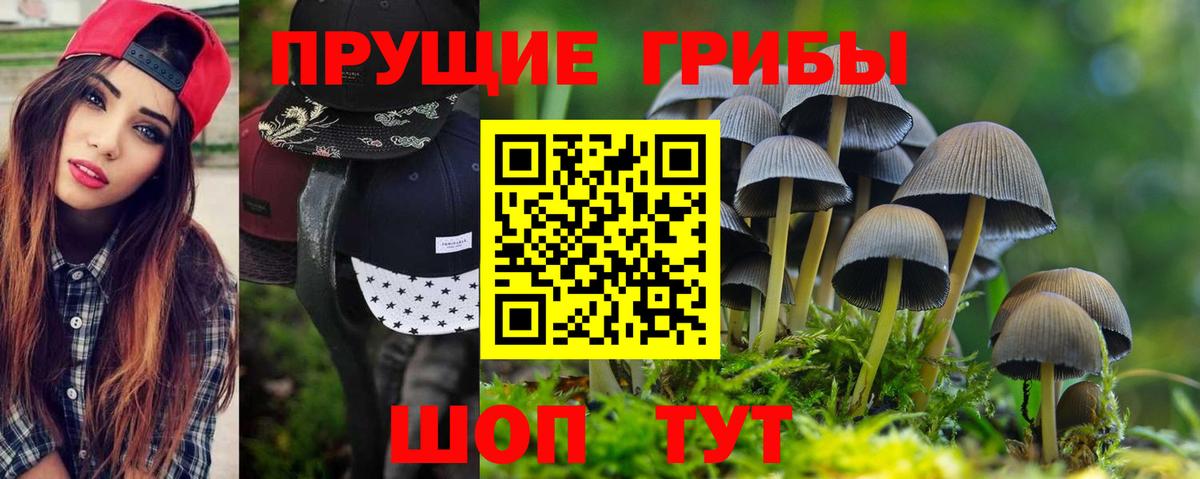 Урюпинск  Галлюциногенные грибы MAGIC MUSHROOMS  даркнет сайт  Вход с VPN 